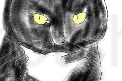 Mae