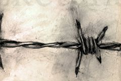 Stacheldraht-3-SM